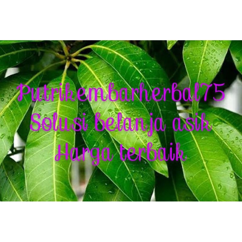 

daun mangga atau Pelem segar 500gr