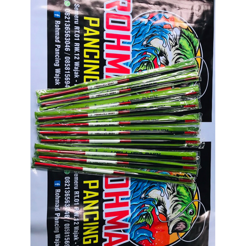 King cat fish tegek pancing iguruai