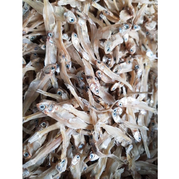 

Ikan Kareng Teri Aceh Besar Dan Jumbo 500 Gram