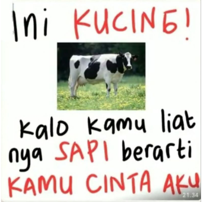 PC BAEKHYUN BUNNY SET