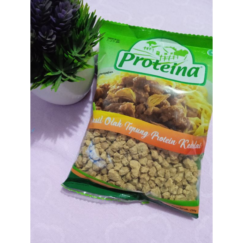 

250gr proteina LX - proteina nabati daging nabati