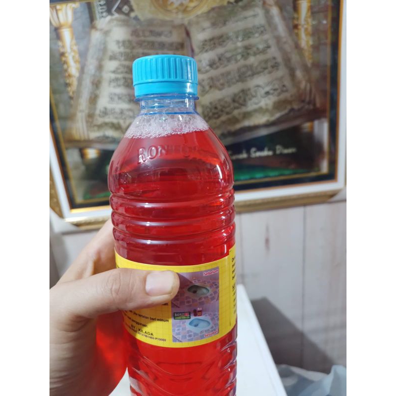 rontok pembersih kamar mandi