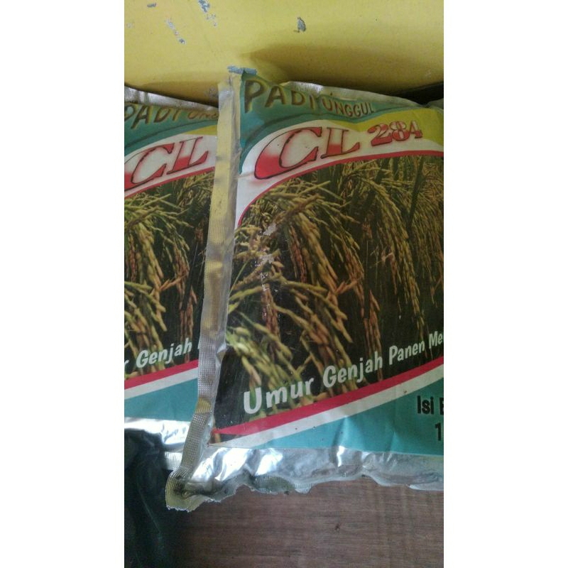 PADI GALUR CL 284 | 1kg |