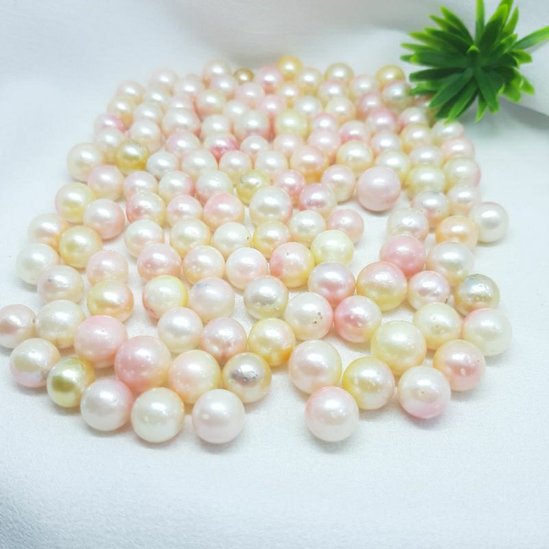 butiran mutiara laut pink