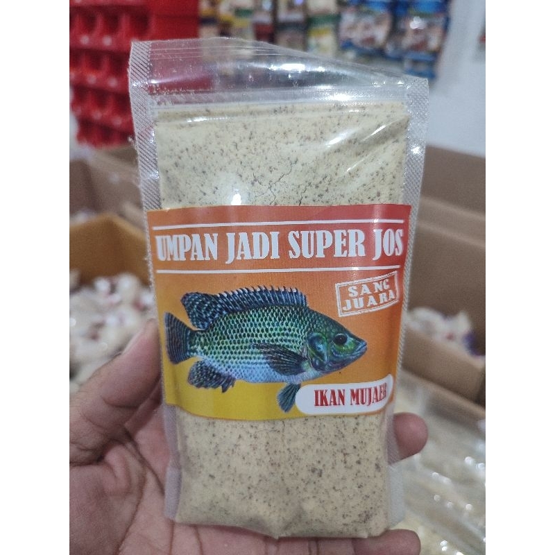 UMPAN JADI SUPER JOS SANG JUARA KHUSUS IKAN MUJAER