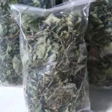 

TERBAIK JAMU HERBAL DAUN ENCOK KERING/PLUMBAGO ZEYLANICA - 500 GRAM