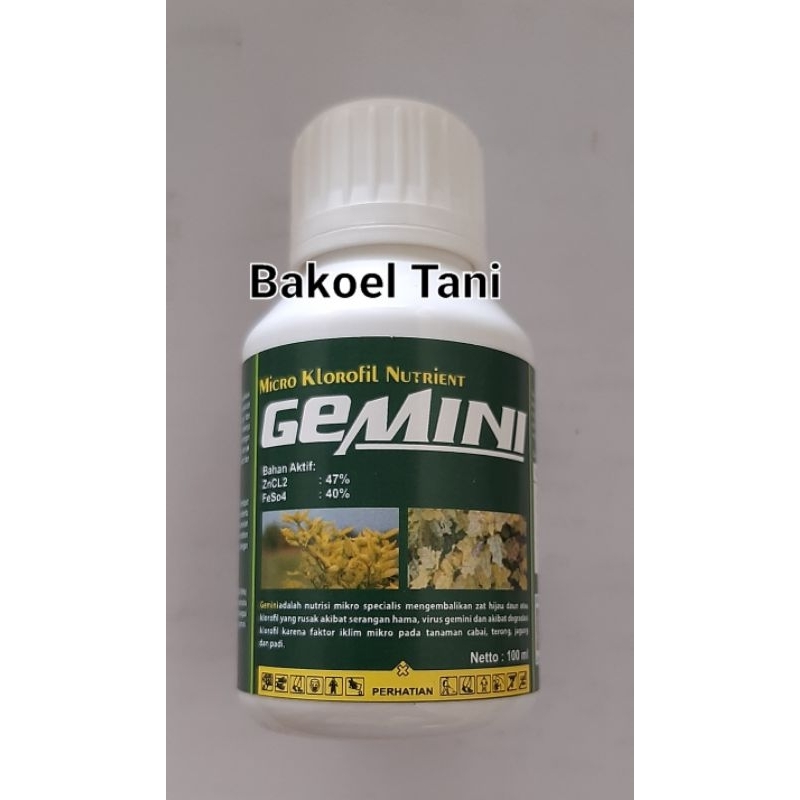 GEMINI Nutrisi kendalikan virus gemini dan layu