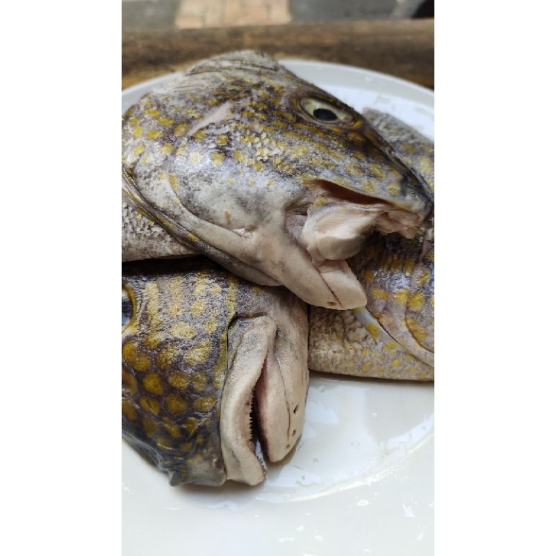 

Kepala Kakap Penang / Putih/Kg
