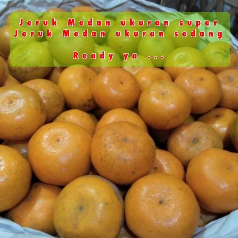 

buah jeruk medan|buah jeruk|buah jeruk manis|buah segar|buah segar bandung|nuri fruits