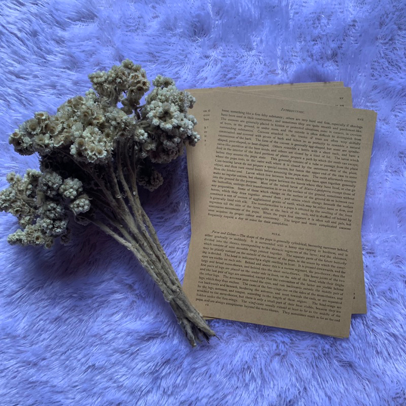 

OLD BOOK Paper Journal Decor Kertas Dekorasi Buku Kertas Motif
