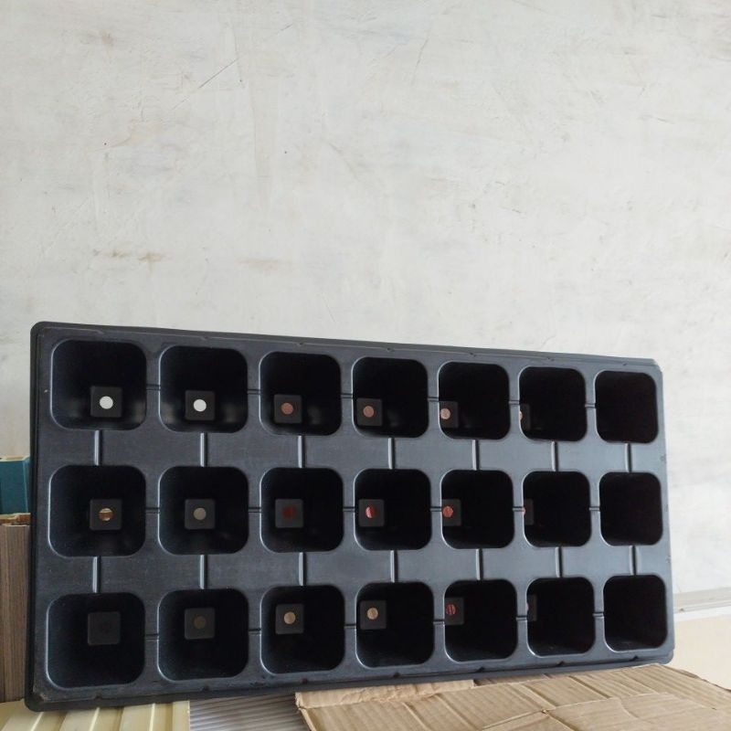 (MEDAN)TRAY SEMAI 21 LUBANG