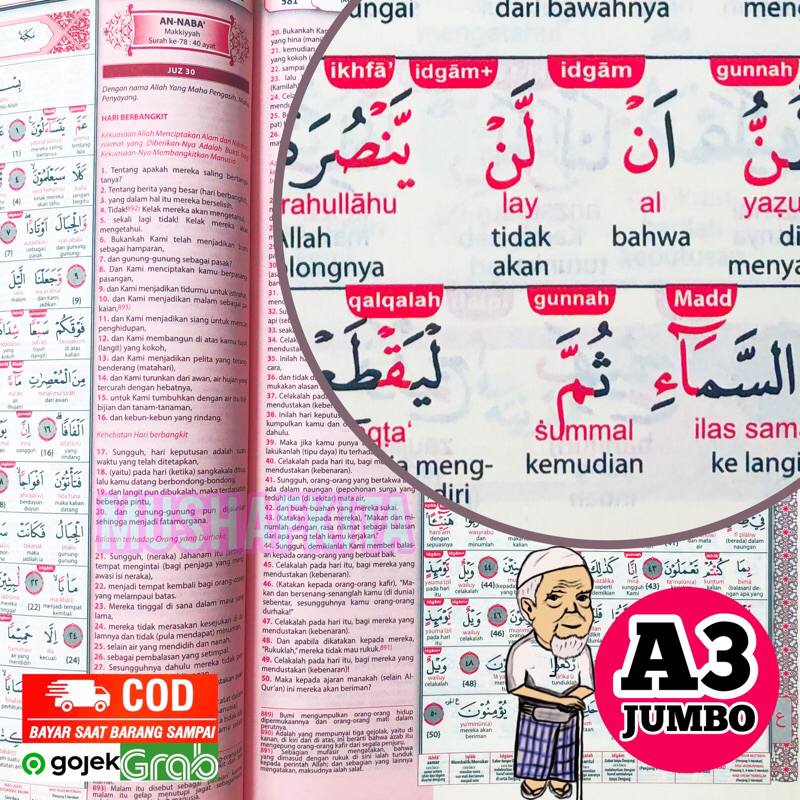 ALQURAN JUMBO LANSIA Alquran jumbo terjemahan dan tajwid ukuran besar Asli Original Al quran Jumbo A