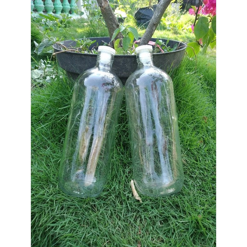[Paket isi 10] Botol Bensin 1 Liter kaca Botol Kaca 1000 ml BOTOL KACA  1 liter BOLLES BOTOL JAMU BE