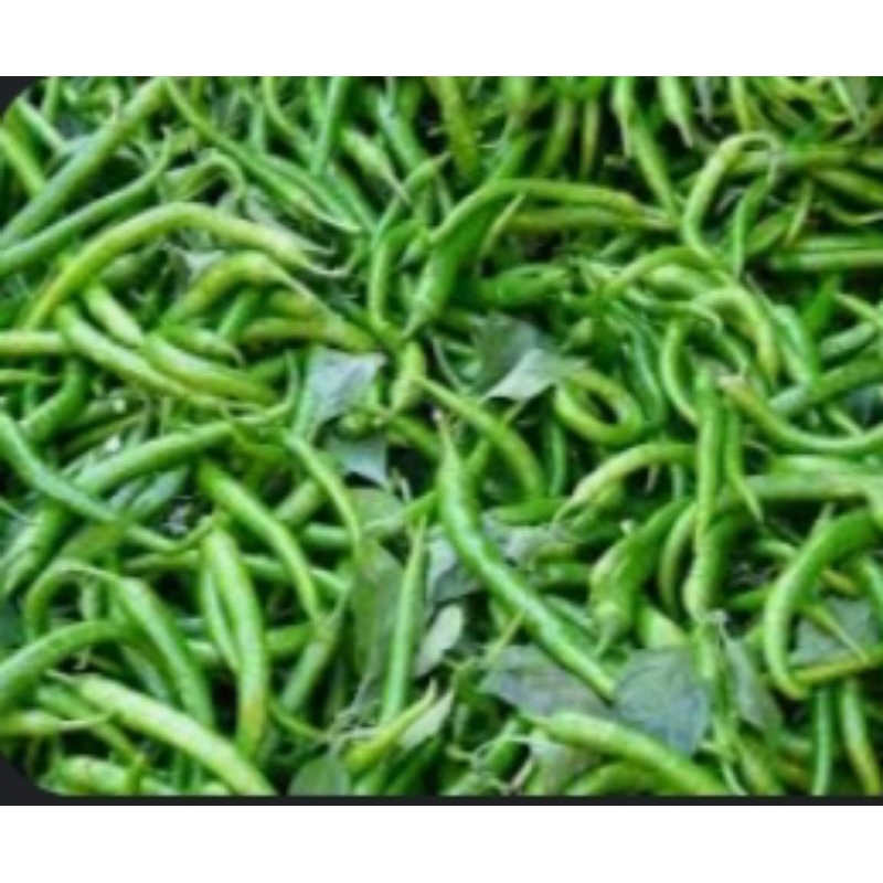 

Cabai Keriting Hijau