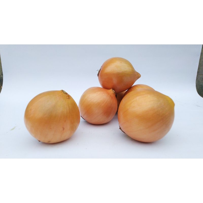 

Bawang Bombay
