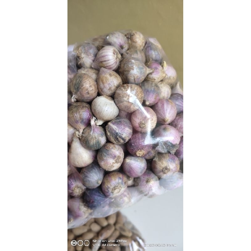 

[1/2KG] Bawang putih lanang/bawang tunggal/bawang obat herbal