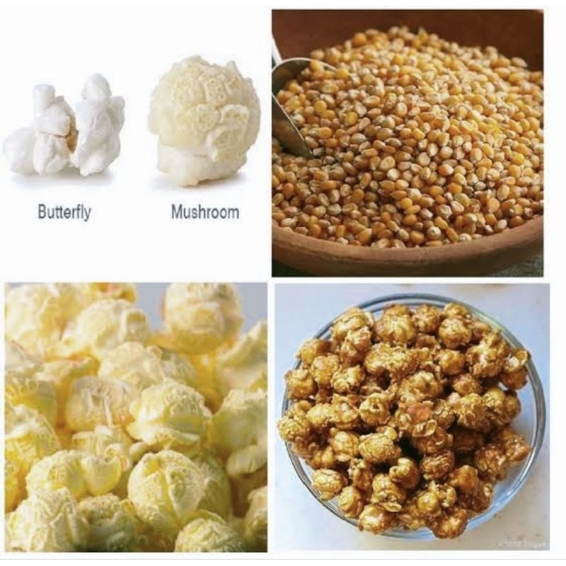 jagung popcorn mushroom 100 gram