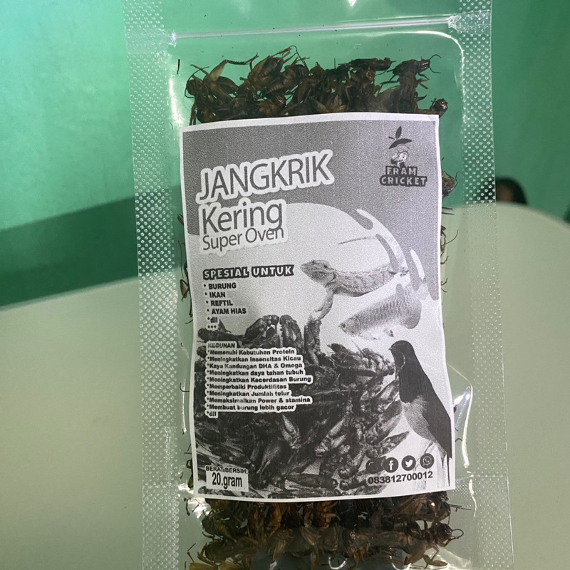 Jangkrik Kering