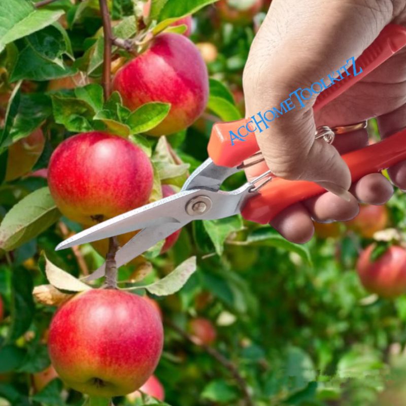 Gunting Serbaguna 8 Inch / Gunting Seng model Korea Lancip Untuk Buah , Daun , Dahan , Ranting , Bonsai , Seng , Kawat , Kertas , Daging , Tulang