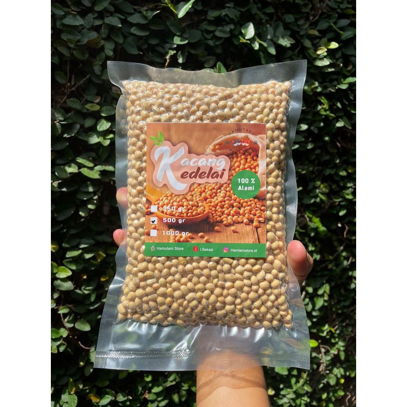 kacang kedelai pilihan berkualitas Grade premium 250 gram