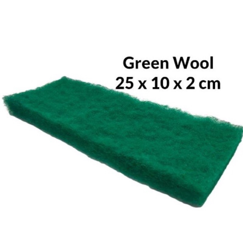 IMPORT Busa Filter Green Wool 25x10x2CM Media Filter Kolam Ikan