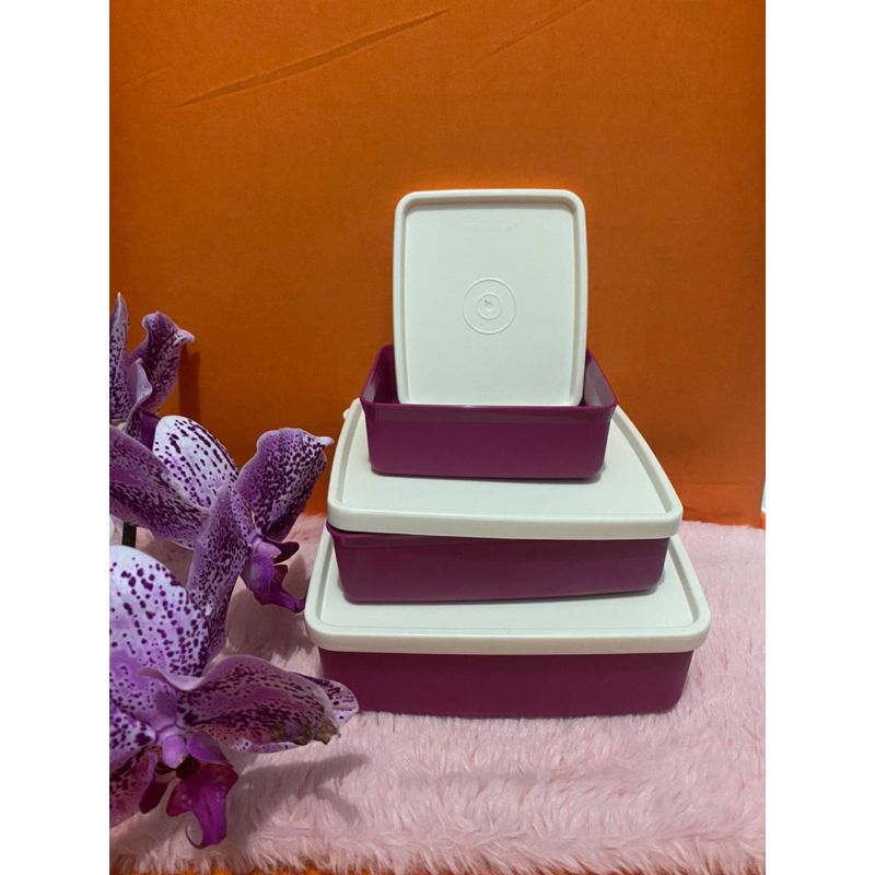 Tupperware square away/bekal makanan