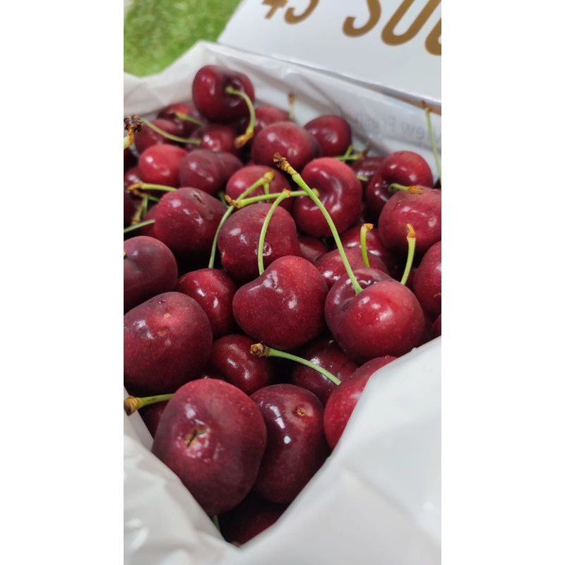 

Buah cherry tasmania dus 2kg