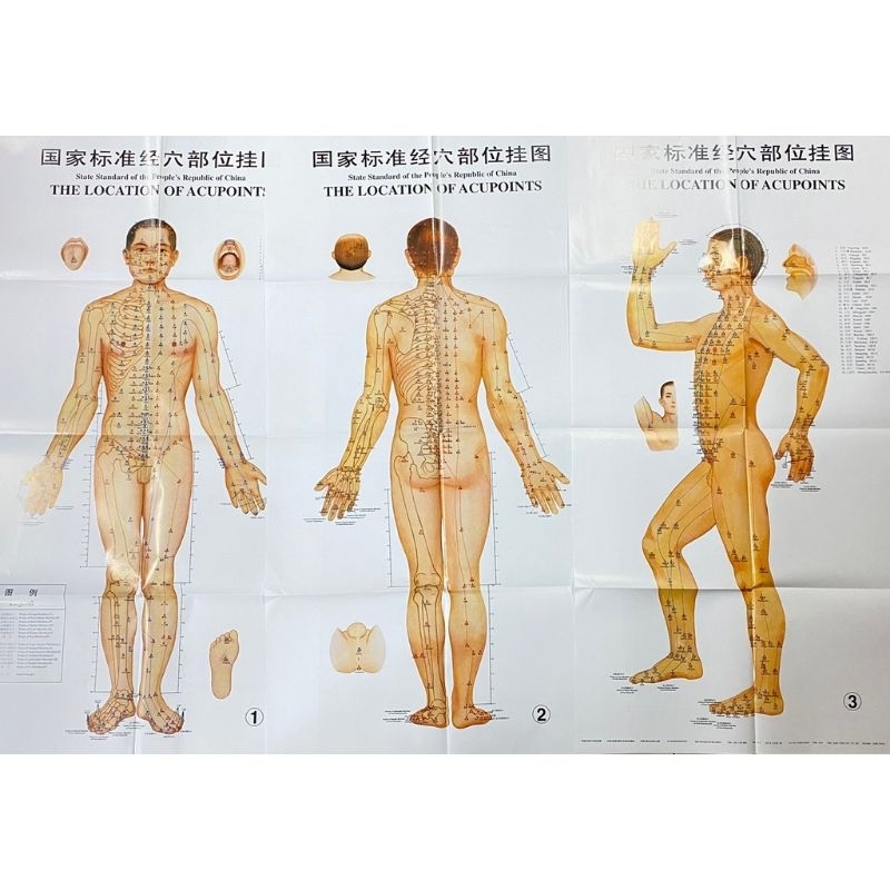 Gambar Poster Titik Akupuntur Pria