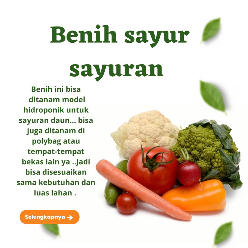 Benih Sayur Sayuran Halaman Rumah Mudah di Tanam Paket Lengkap Tanaman Hidroponik Kangkung Bayam Brokoli Cabe Rawit Daun Bawang Kol Sawi Pakcoy Caisim Terong Ungu Tomat Sayur Selada Wortel