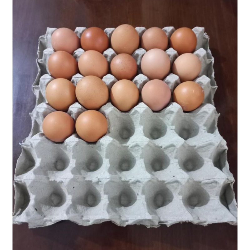 

Telur Ayam Negeri Fresh 1 Kg (Isi 16-17 Butir)