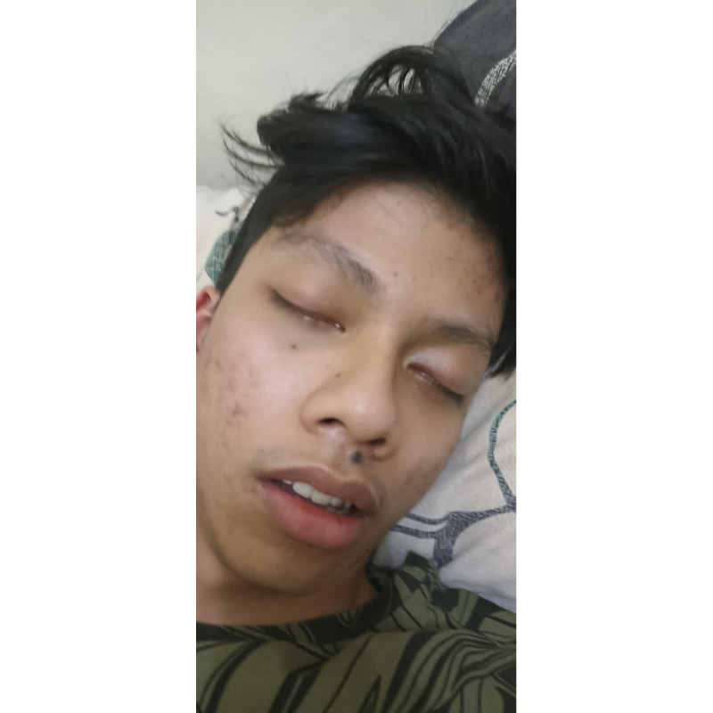 mainan.burung.parkit.mirip.kaya.asli