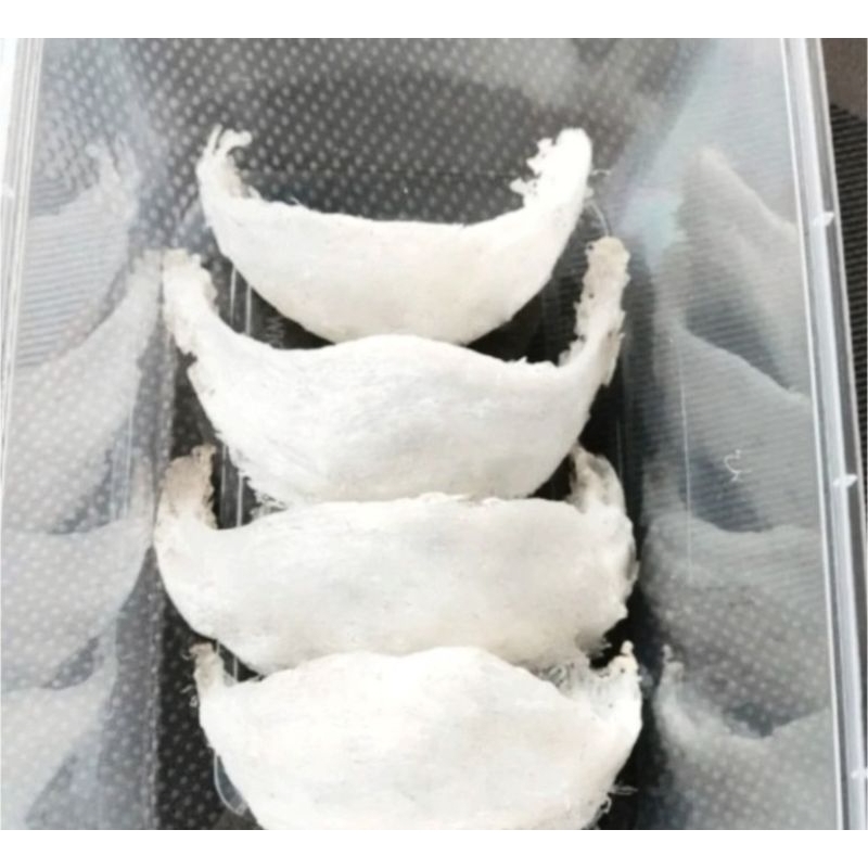 

40 GRAM SARANG WALET ASLI 100% PUTIH BERSIH SIAP DI KONSUMSI