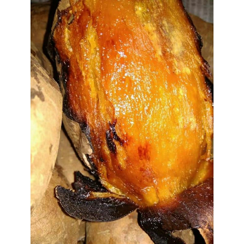 Ubi madu cilembu/ubi bakar /ubi oven/ubi matang manis 500gr