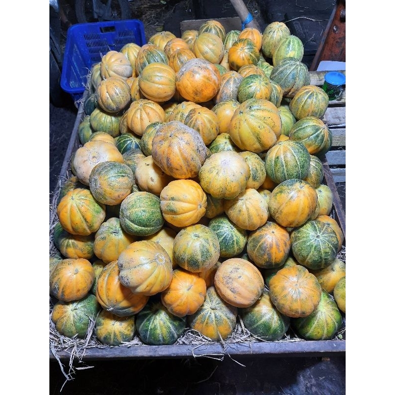 

buah belewah /1 buah