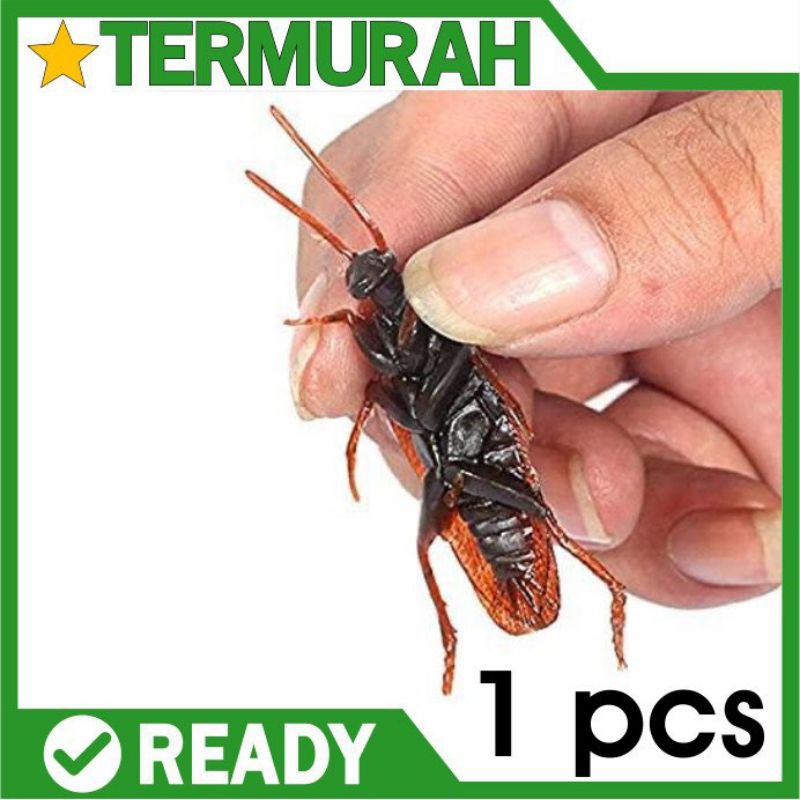 Kecoa Mainan / Kecoa Palsuterbuat dari karet lentur, warna & ukuran sangat mirip dengan aslinya.berm