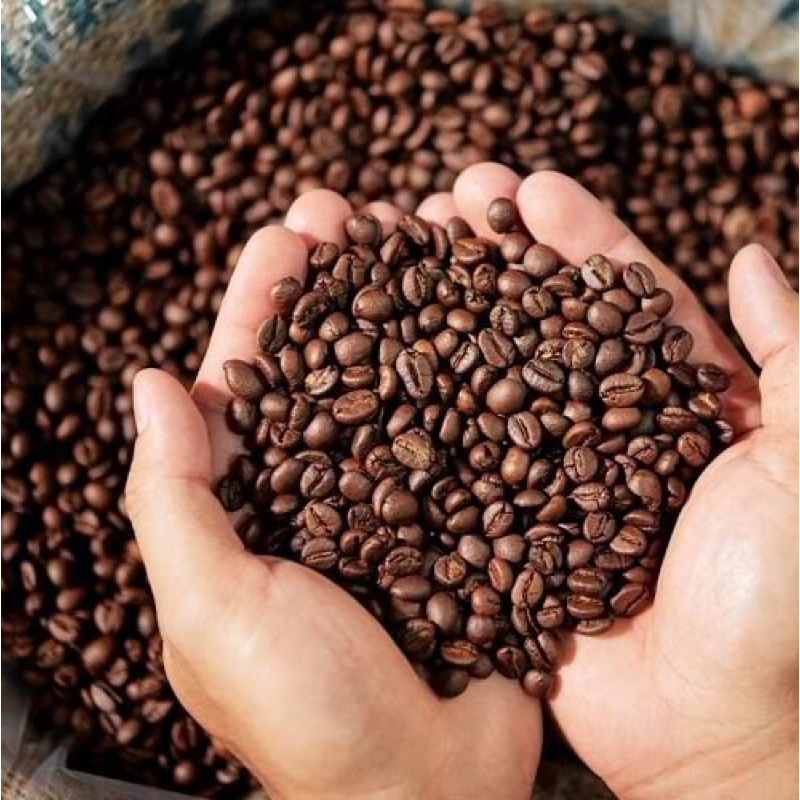 

Roasted Robusta Bean origin Rejang lebong