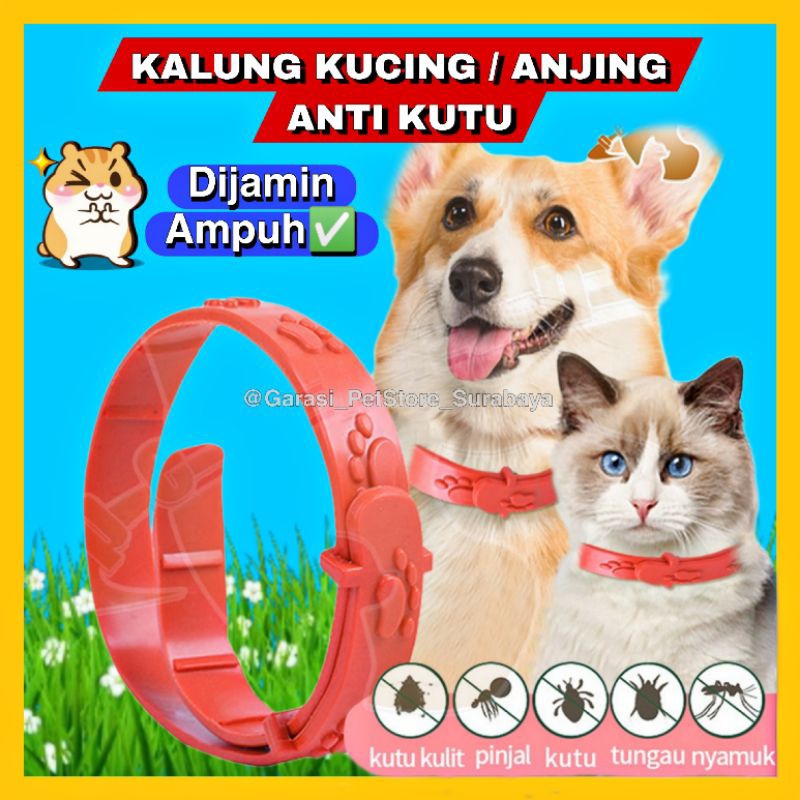 GPSS- Kalung Kucing Anti Kutu Pinjal Dijamin Ampuh Collar For Cat Kalung Anjing Anti Kutu Anti Serangga Kalung Kucing Motif Kalung Anjing Motif Kalung Hewan Anti Kutu Kalung Musang Kalung Kucing Nama Kalung Kucing Murah Pet Collar