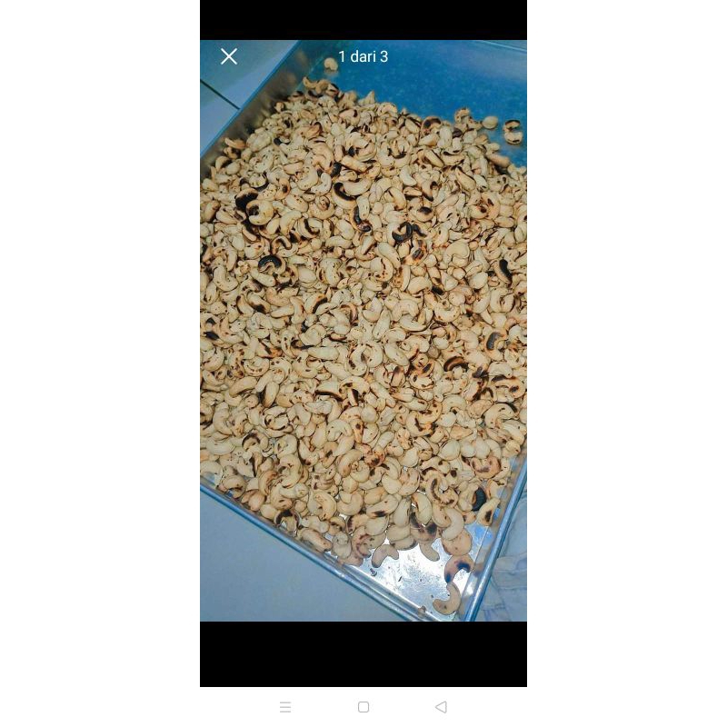 

kacang mete asli wonogiri