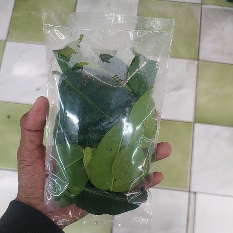 

Daun Jeruk Segar Denpasar Bali