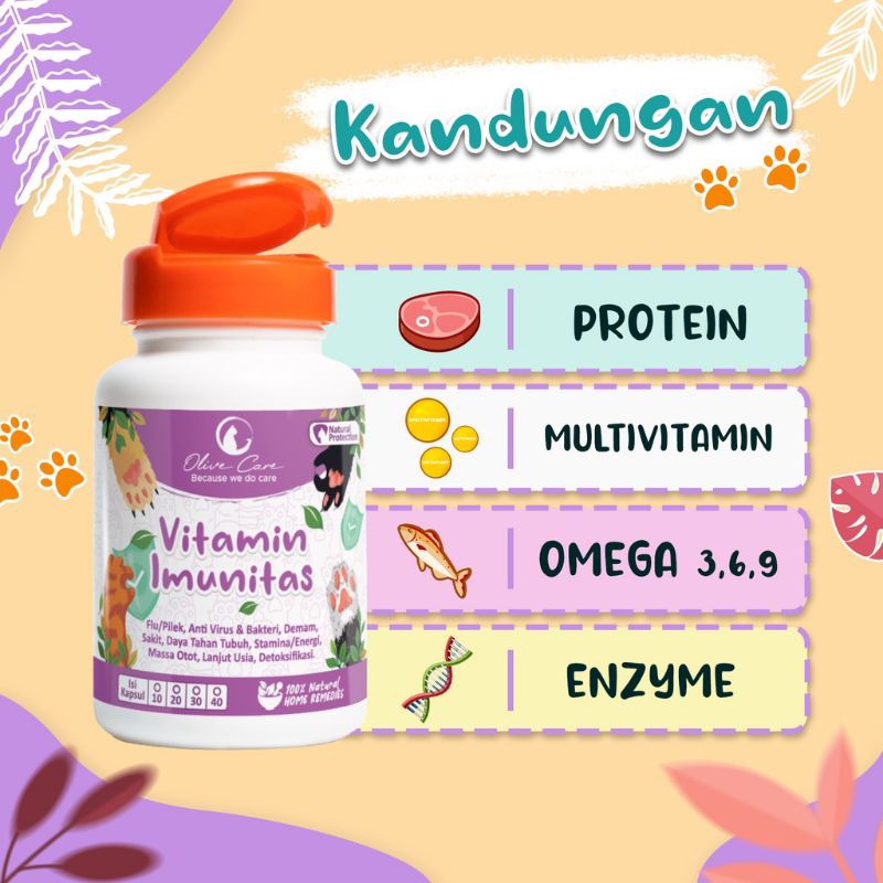 Vitamin Kucing Olive Care Ecer Imun Tingkatkan Imunitas Tubuh dan Cegah Sakit Ord 4