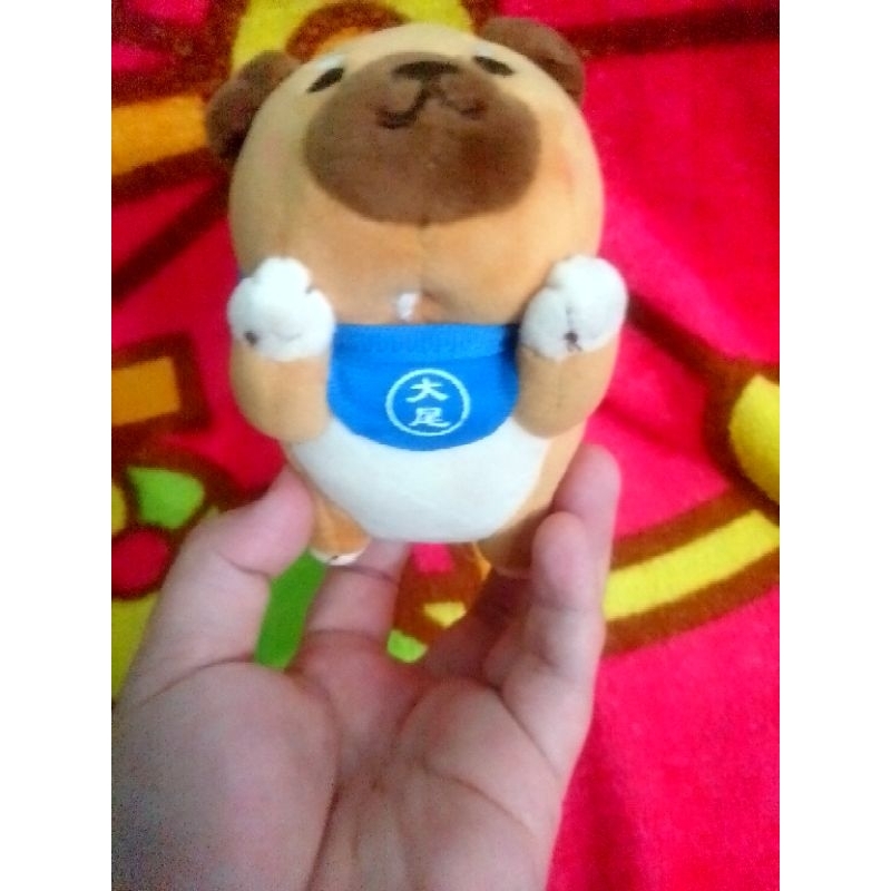 ganci shiba