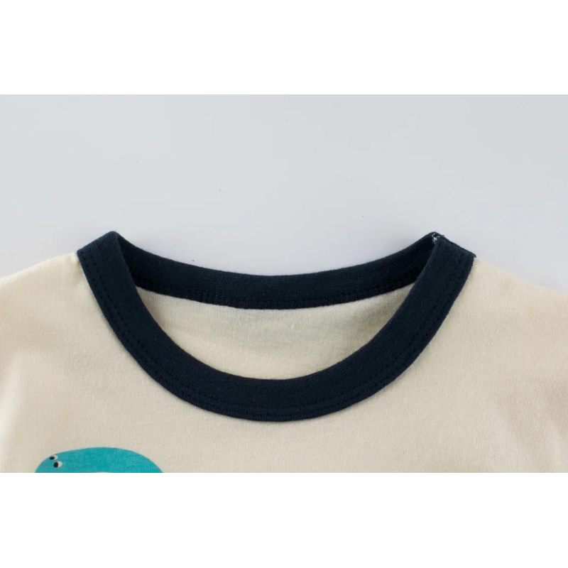 Kaos Anak Import Korean Look Gambar Dino Bahan Premium Baju Tshirt Anak Murah Baju Kaos Atasan Lucu