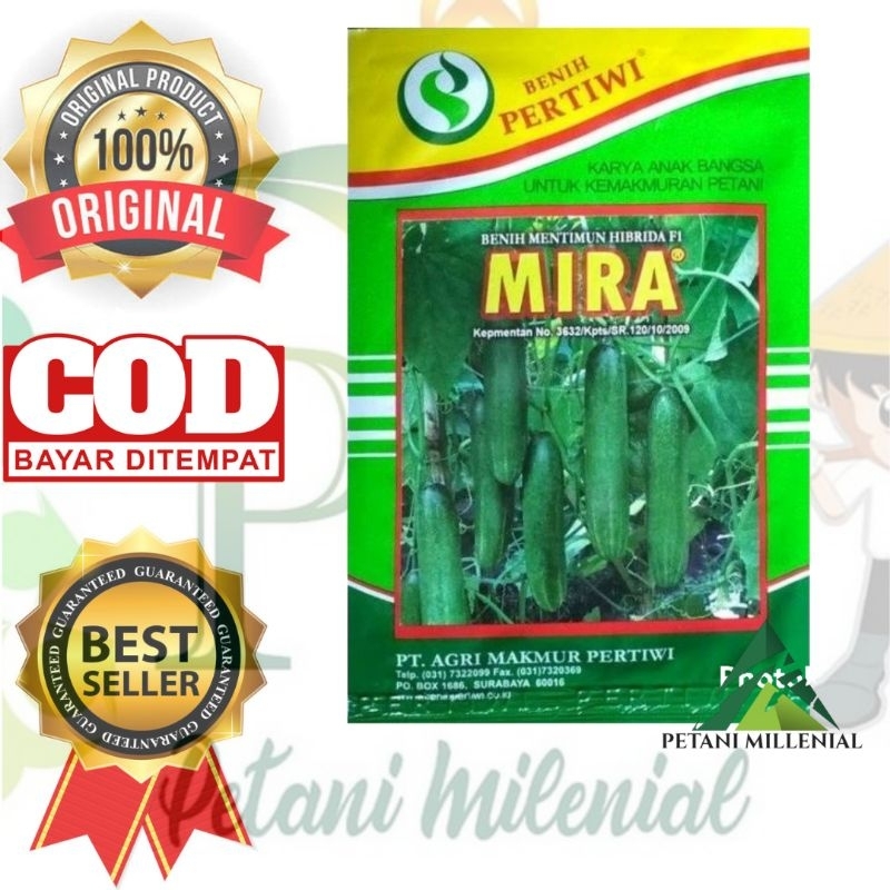 PROMO BENIH TIMUN BESAR MIRA 25GR - BIBIT MENTIMUN PERTIWI HIJAU GELAP BUAH LEBAT