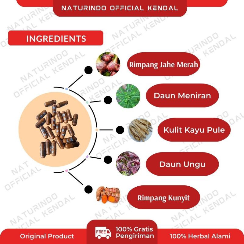 Obat Kelenjar Getah Bening Kanker Tumor Lipoma Gondok Beracun Kelenjar Tiroid Hipertiroid