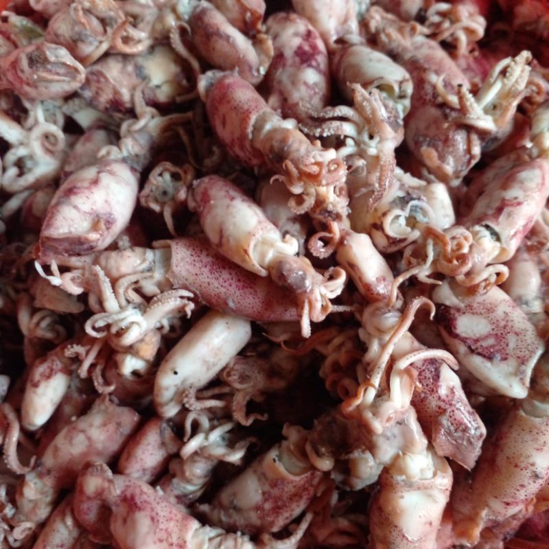 

ikan asin baby cumi/cumi asin/cumi rebus(fresh) berat 1kg