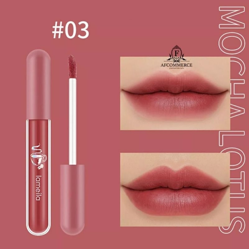 Lameila Lip Glaze Matte Lipstick Anti Air Lipstik Velvet Lip Gloss DJ 1041