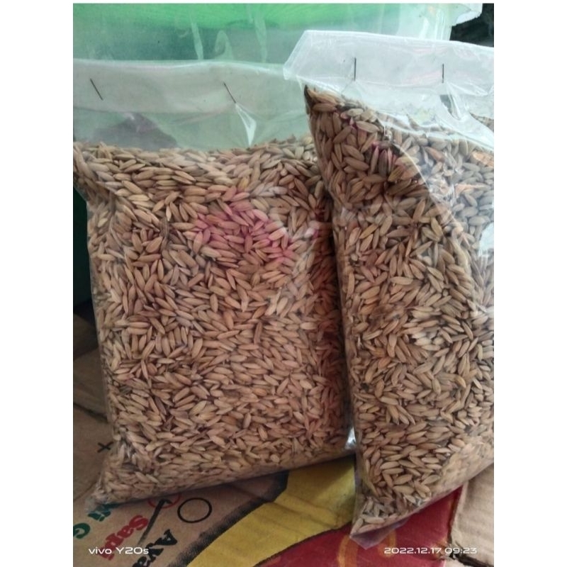 jual benih padi bibit padi merah 1kg