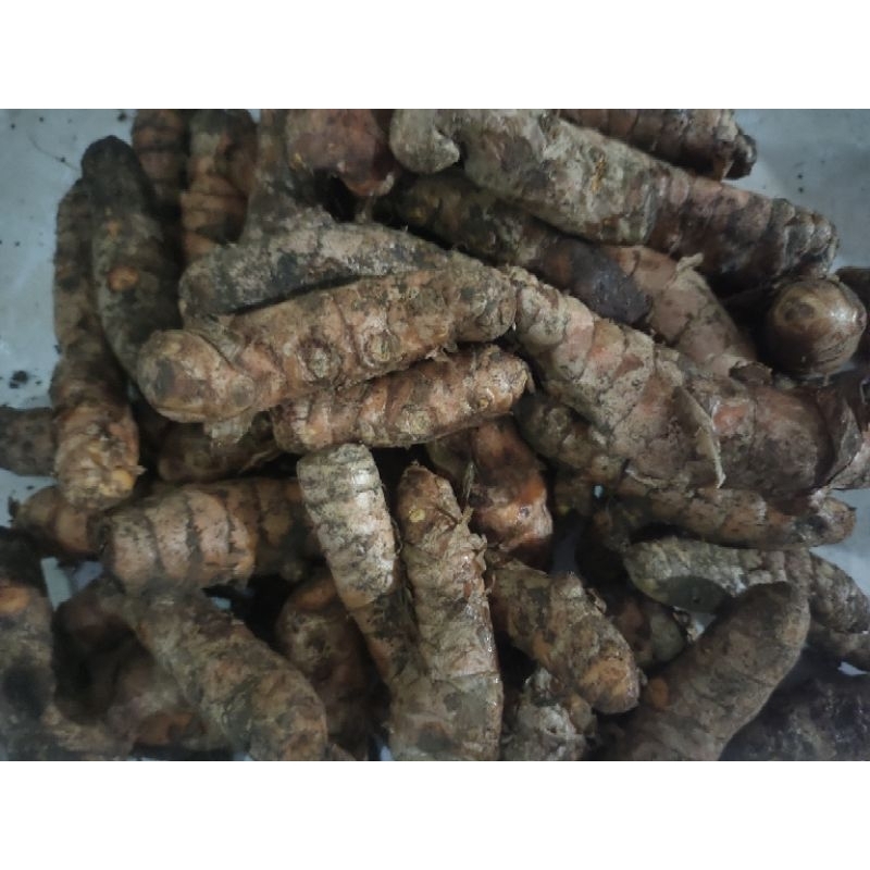 

KUNIR / KUNYIT 1 KG