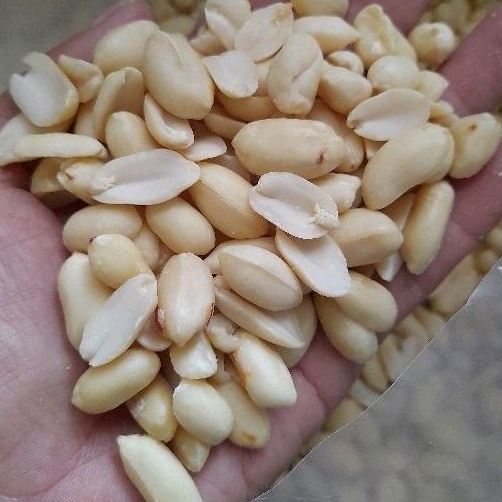 Kacang tanah kupas kualitas premium super besar 500 gram