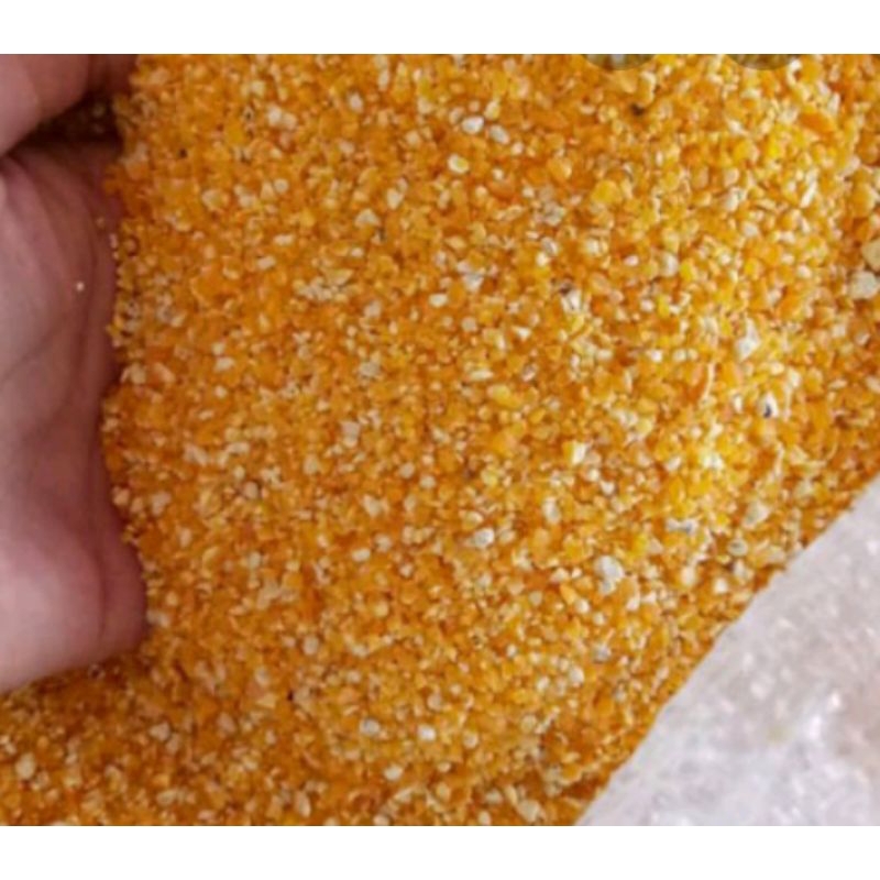 PROMO PAKAN TERNAK Jagung Giling Kering 10 Kg